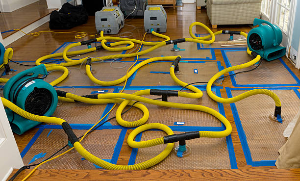Professional Emergency Water Removal technician working in Slater, MO